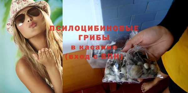 ешки Алексин