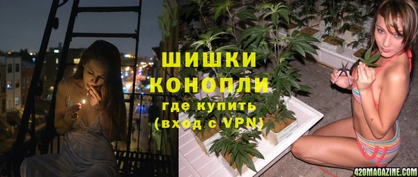 ешки Алексин