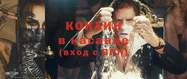 ешки Алексин